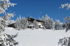 IMG_1686